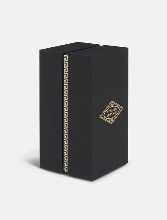 Image du produit Versace Figue Blanche (Eau de parfum, 100 ml)