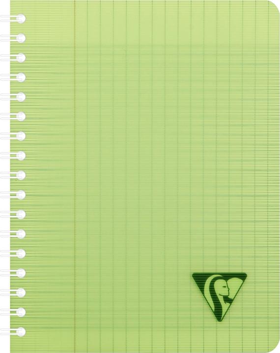 Immagine prodotto Clairefontaine Linicolor Fresh (A1, Righe, Copertina rigida)