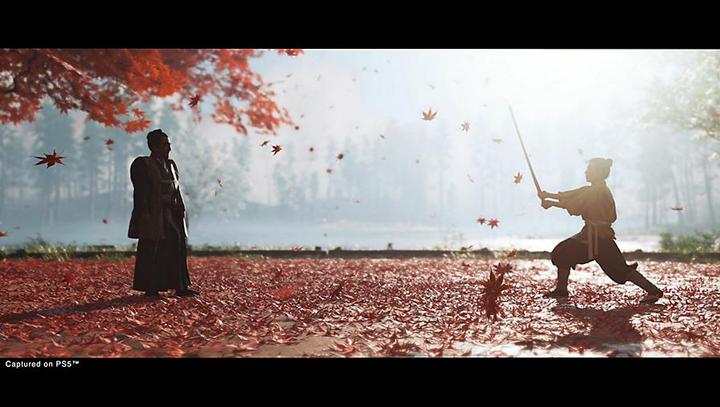 Immagine prodotto Sony Ghost of Tsushima - Directors Cut (PS5, DE)