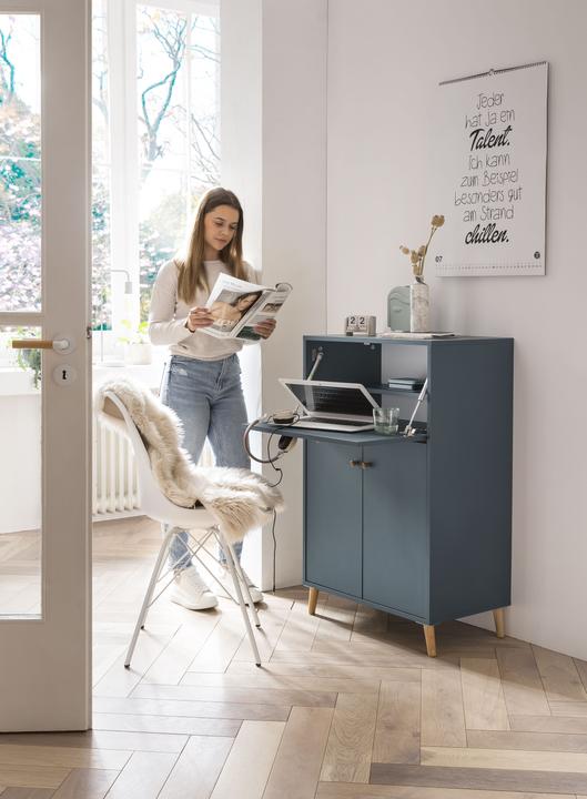 Produktbild Schildmeyer Serie 500 (65.5 x 39 x 102 cm)