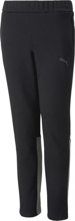 Image du produit Puma teamCUP Casuals Pants Jr (152)