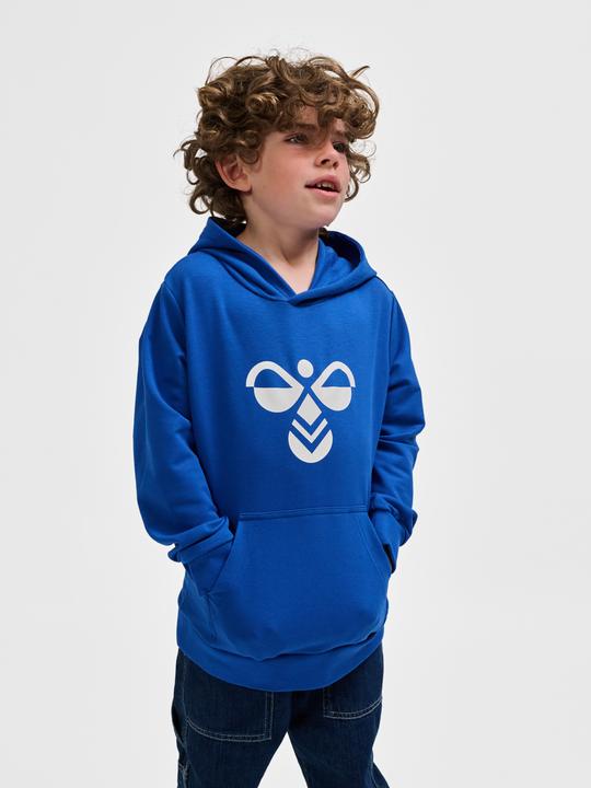 Image du produit hummel hmlCUATRO HOODIE (176)