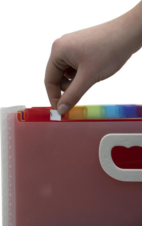 Actual product image Exacompta Crystal Document Case (A4, 1 x)