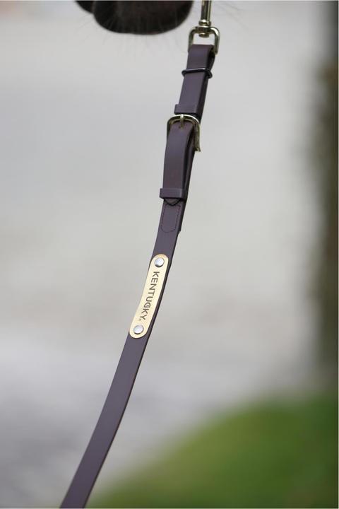 Produktbild Kentucky Horsewear Vorführstrick 2m Biothane Beta