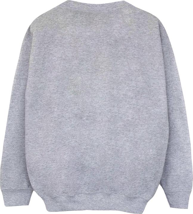 Image du produit Nasa Sweatshirt garçon (152, 158)