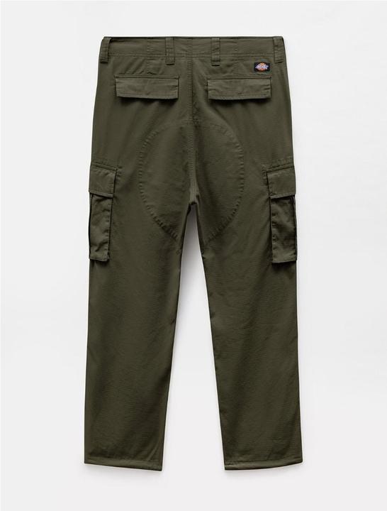 Actual product image Dickies Eagle Bend (30)