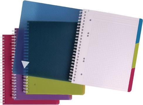 Actual product image Clairefontaine Linicolor Evolutive Book (A4+, Checked, Soft cover)