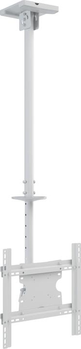 Actual product image Multibrackets Ceiling mount 32" - 70", metal, white, max 30 kg (Ceiling, 55", 30 kg)