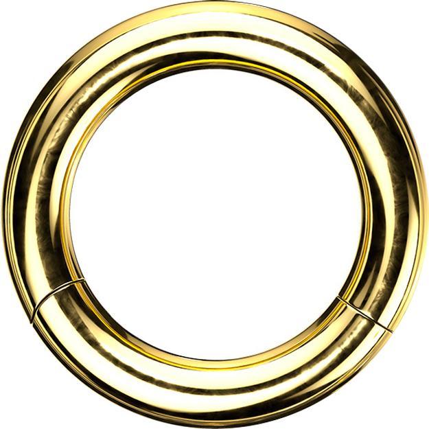 Actual product image Star Piercing Segment ring hinged gold plated (without brass, Surgical steel 316L)