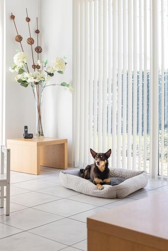 Actual product image Karlie Lounger bed Velvet (Dog)