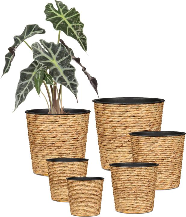 Actual product image Scheurich Water hyacinth 30, basket planter / basket planter / basket pot made of Water hyacinth Colour: (30 cm)