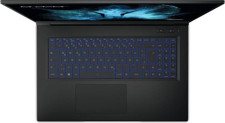 Produktbild Medion Erazer Beast X25 RTX 3070 (17.30", AMD Ryzen 7 5800H, 32 GB, 1000 GB, CH)