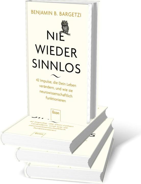 Produktbild Nie wieder sinnlos (Deutsch, Benjamin B. Bargetzi, 2025)
