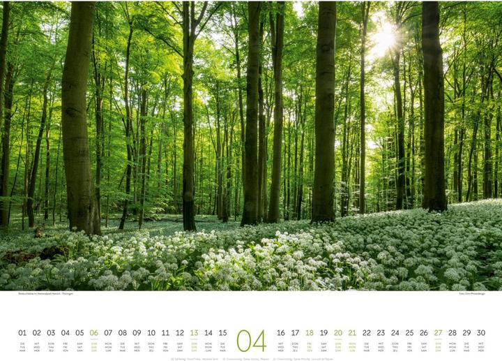 Produktbild Deutschland - Zauberhafte Landschaften Kalender 2025 (54 x 42 cm, Harter Einband, Deutsch, Englisch, Französisch)