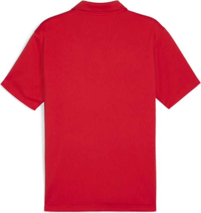 Actual product image Puma teamGOAL Polo (M)