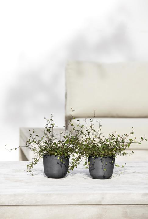 Produktbild Ecopots Oslo Mini (19 cm)