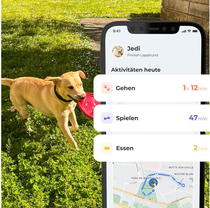 Produktbild Invoxia Smart Dog Collar taille S (Hund)