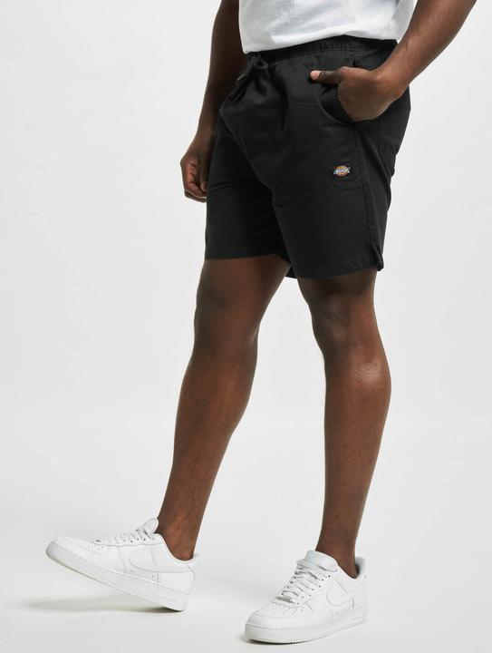 Actual product image Dickies Pelican Rapids fabric shorts - 91859 (S)