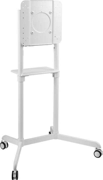 Audioraq 1398 TTV (Universal, 70", 70 kg)