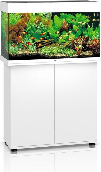 Produktbild Juwel Aquarium Rio (125 l)