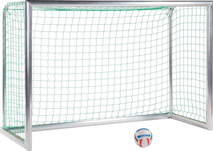 Sport-Thieme Mini-Trainingstor Professional