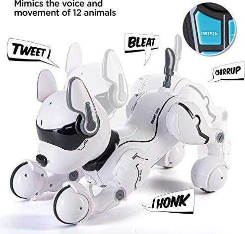 Produktbild Top Race Roboterhund