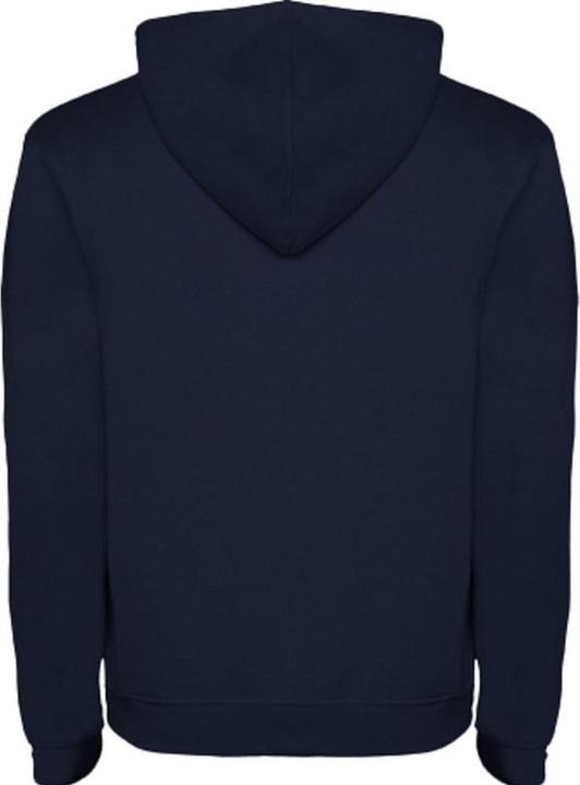 Actual product image Alpinia Mens Urban Hoodie (3XL)
