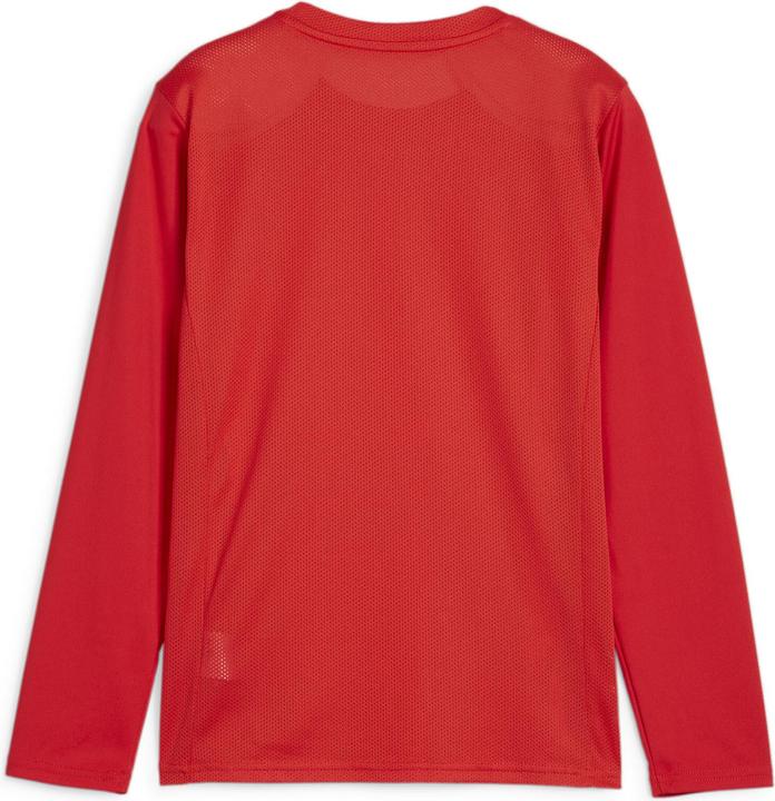 Actual product image Puma teamGOAL LS Jersey Jr (116)