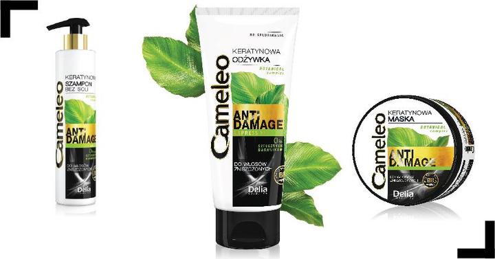 Actual product image Delia Cosmetics Cameleo BB (250 ml, Liquid shampoo)