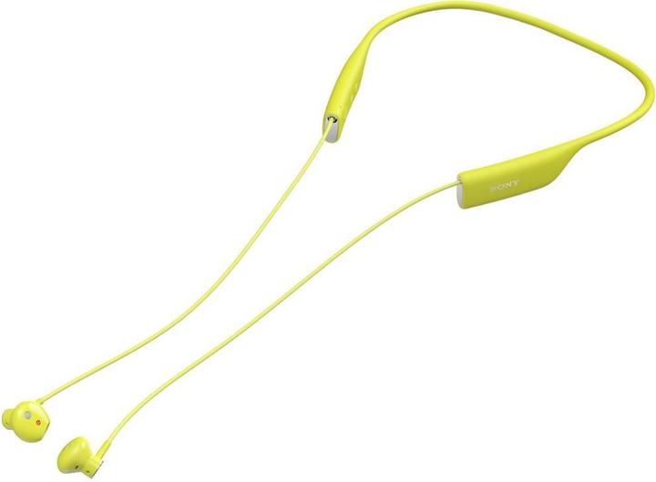 Sony Sbh70 (650 h, Wireless)