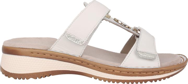 Ara Hawaii (38)