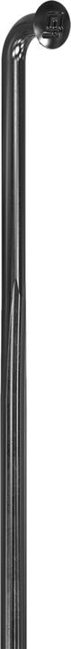Immagine prodotto DT Swiss Raggi Complite 2.0/1.75/2.0x1.3 nero