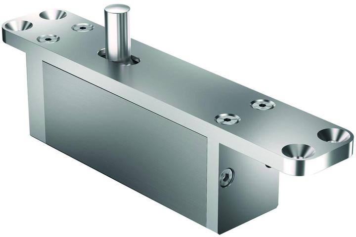 Actual product image FritsJurgens Zapfenbänder TP-70-B Türgewicht -150kg Z