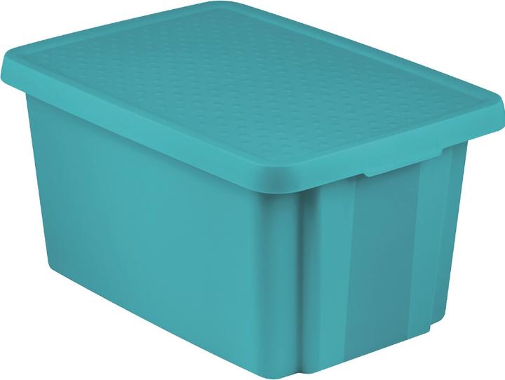 Curver Behälter mit Deckel (45l) 225413-225413 (30 x 57 x 40 cm, 45 l)