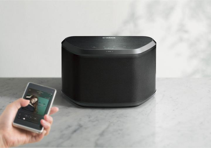 Image du produit Yamaha Wx-030