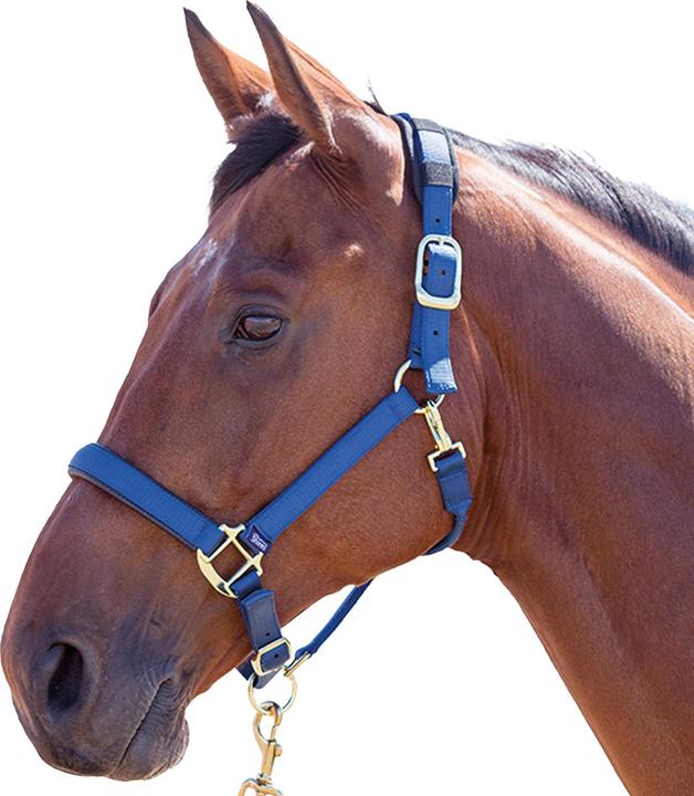 Image du produit Shires Licol pour chevaux en nylon Topaz