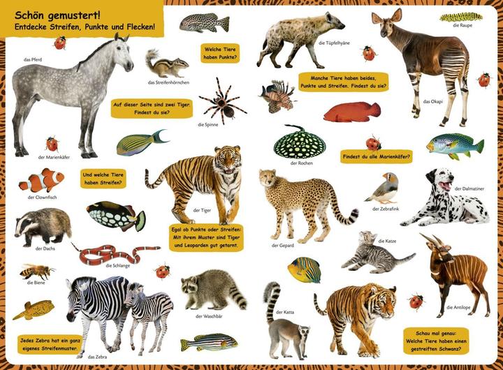 Produktbild Duden 18+: Kennst du das? Das grosse Tiere-Bildwörterbuch (Deutsch, 2022)