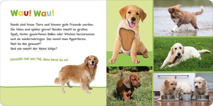 Actual product image Listen, who could that be? Pets (German)