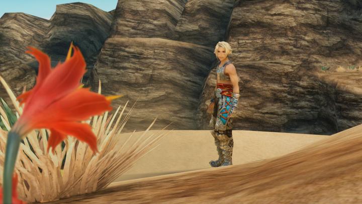 Immagine prodotto Square Enix Final Fantasy XII Età dello zodiaco (Switch, Switch Lite, Switch OLED, EN)