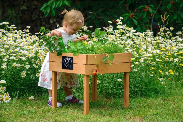Actual product image Dobar Children's raised bed