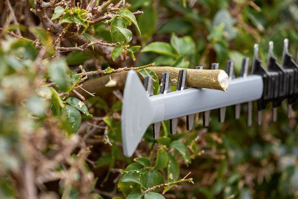 Actual product image Bosch Professional BOSCH 06008C9500 (Cordless hedgecutters)