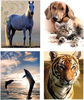 Immagine prodotto No Name Cartoleria Animali colorati 4 motivi assortiti (10 pz.)