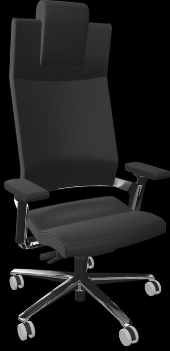 Brunito, Pelle nera premium