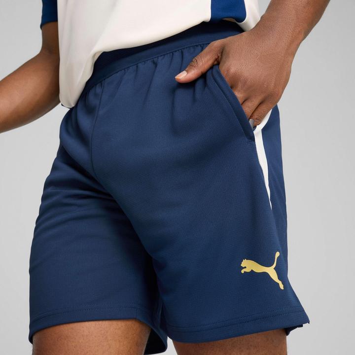 Image du produit Puma Short d'entraînement FPF (M)