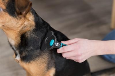Image du produit Trixie Brosse Carding (Chien)