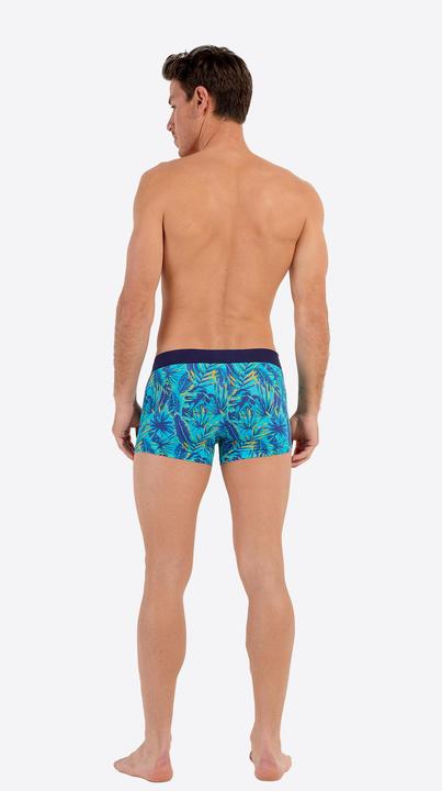 Actual product image HOM Retro Boxer Valley (L, Single pack)