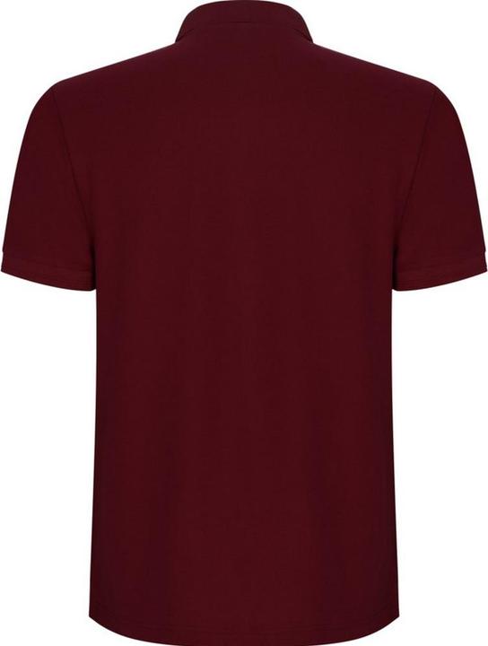 Immagine prodotto Alpinia Pegaso Premium Maglietta Polo Maniche Corte Uomo (4XL)