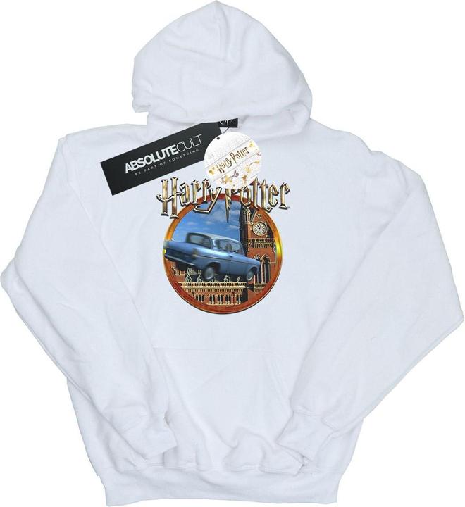 Actual product image Womens/Ladies Flying Car Hoodie (M)