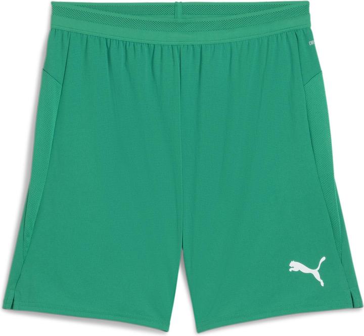 Puma teamCUP Shorts