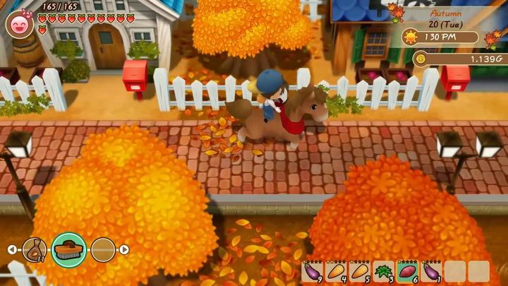 Actual product image Marvelous Story of Seasons : Friends of Mineral Town (Switch, FR)